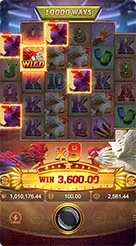 Rooster Rumble · Membaca simbol pembayaran, simbol Wild berangka, dan simbol Scatter di area kisi.